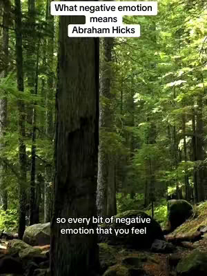The cover image shows a dense forest. Sunlight filters through the green canopy. Text overlays are placed at the top and bottom.