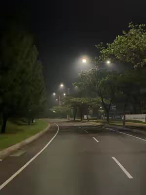 A nighttime view of a road leading into the distance, illuminated by streetlights. The road curves gently to the left and is bordered by green grass and trees. The sky is dark and the scene has a calm, somewhat misty atmosphere.