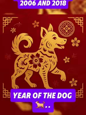 A golden silhouette of a dog is centered, overlaid on a dark red background adorned with Chinese-style floral and geometric patterns. Above, a banner reads '2006 AND 2018'. Below, a purple bar displays 'YEAR OF THE DOG', accompanied by an emoji of a walking dog.