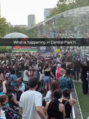 The image captures a crowd of people in Central Park, with a stage-like structure in the background and what appears to be a concert or event. A text overlay reads: "What is happening in Central Park?!"