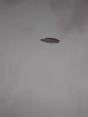 An image with a mostly white background. In the center, there is a dark, elongated oval shape that appears to be floating. The oval has a reddish-brown tint. 