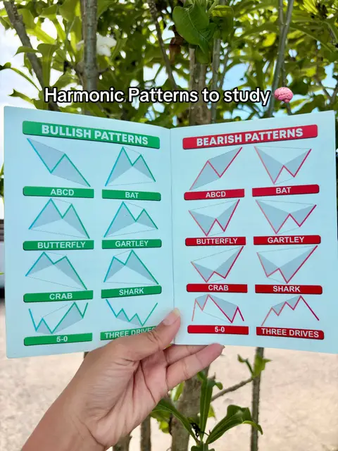 A person's hand holds a double-sided chart displaying harmonic patterns used in trading. The chart is open, showing "Bullish Patterns" on the left in a green banner and "Bearish Patterns" on the right side in a red banner. The image is set against a backdrop of green foliage, suggesting an outdoor setting.