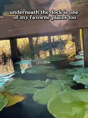 The cover image shows a view from under a wooden dock, looking out over a pond covered with lily pads. The water reflects the light and the surrounding vegetation, creating a natural, slightly mysterious scene.