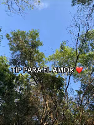 A cover image depicting trees with green leaves and blue sky. Text overlay saying 'TIP PARA EL AMOR' with a red heart.
