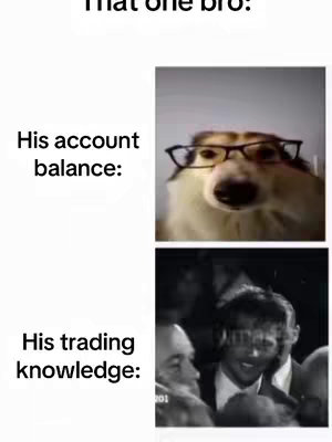 A meme comparing a dog with glasses and a person in a suit. Top text: "That one bro:" Below, two images are framed with text indicating a comparison. "His account balance:" shows a dog wearing glasses, and "His trading knowledge:" shows an image of several suited men.