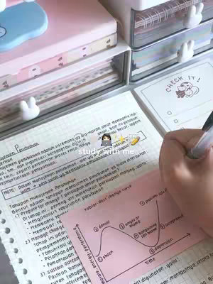 The cover image is a top-down shot of a desk setup. There's a person's hand writing on a notepad with text in the background. In the foreground, there is a pink sticky note with a drawn graph. The desk is arranged with desk organizers, paper, pens, and notepads. The overall color scheme is pastel and aesthetic.