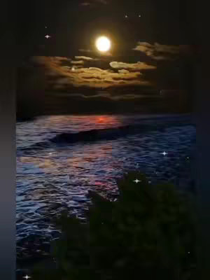 The image is a vertical shot of a night scene over the ocean. In the top half is a large, luminous moon. Clouds are visible in the sky, and the dark water of the ocean reflects the moonlight. At the bottom, there is a shadowy outline that could be a shoreline or trees. Scattered throughout the image are a few small, twinkling stars, adding a touch of brightness to the otherwise dark scene.