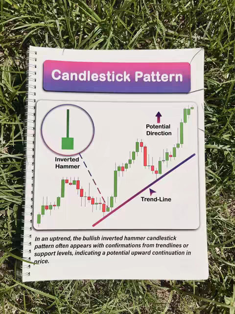 A notebook is open on a bed of green grass. The notebook shows graphs and candlestick patterns explaining how trading works.