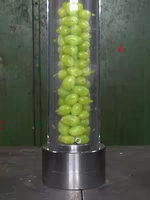 A clear cylindrical container filled with green grapes is placed inside a metal structure. The grapes are densely packed and appear to be the central focus, with a blurred background of a green wall.