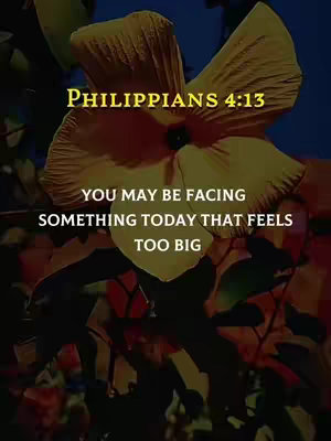 The cover image is a vertical graphic featuring a large, yellow flower in the center. The flower's petals are textured and detailed, with a slightly darker center. Overlaid on the image are two lines of white text and one line of golden yellow text, containing a Bible verse. The background is a gradient of dark blue and black. The overall composition is simple, focusing on the flower and the text.