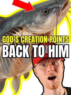 The image is a composite, combining a close-up of a catfish skull with a surprised man's face superimposed over the bottom portion. The man, with red hair, glasses, and a red cap, appears to be reacting with wide eyes and an open mouth. Above the man, a large, off-white catfish skull dominates the frame, punctuated by the red arrow pointing to some feature of the skull. The words "GOD'S CREATION POINTS BACK TO HIM" appear in bold letters above the man. The background is a blend of yellow and white, highlighting the elements.