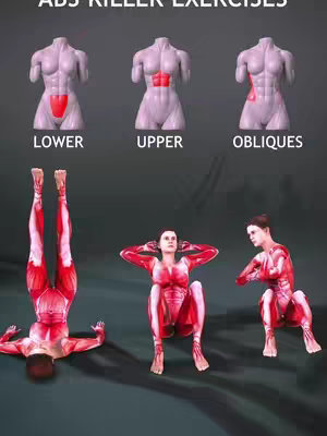 The image is a visual guide to abdominal exercises. At the top, three stylized anatomical figures show the areas of the abs being targeted: lower, upper, and obliques, each section highlighted in red. Below these, three figures execute different exercises: a person upside down doing a leg raise, another in a sit-up pose, and the third is on their knees, with one arm resting on the ground. They are also shown with the anatomy of the muscles of the body.