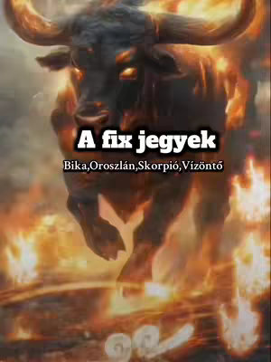 The cover image features a stylized, fiery depiction of a bull, a prominent symbol from the zodiac. The bull is rendered with orange and yellow flames, giving it a powerful, almost mythical appearance. Superimposed over the image is text in a bold white font, with the title 'A fix jegyek' and the zodiac signs Bika, Oroszlán, Skorpió, Vízöntő, which are placed in a dark bold frame with the text in a clear, bold font.