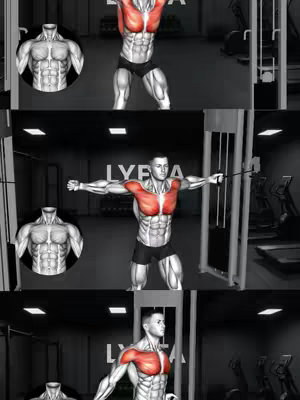The cover image is a visually informative graphic illustrating chest workout variations using cable machines. It is horizontally divided into three sections, each displaying a different cable fly exercise. Each section focuses on one exercise and its associated muscle emphasis, with accompanying graphics. The top part depicts the high-to-low cable fly with a diagram indicating the specific muscles worked. The middle portion shows a side-by-side comparison with the mid cable fly, highlighting its focus. The bottom section presents the low-to-high cable fly, completing the exercise variations. A realistic illustration of the male body is shown to emphasize the working muscle groups, primarily the chest (pectorals), with red highlighting over those muscles.