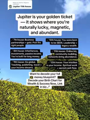 The cover image shows a graphic superimposed over a natural landscape: a leafy green bush and a blue sky. The graphic contains text in a white box that says, 'Jupiter is your golden ticket - it shows where you're naturally lucky, magnetic, and abundant.' Below this are bullet points organized in a grid, such as: 7th house: Business partnerships = gold.’ The text box has a white background and several colored rectangular elements, each contains text. The bottom of the image contains a call to action: ‘Want to decode your full money blueprint? Decode your Birth Chart for Wealth & Success Now, Link in bio.’