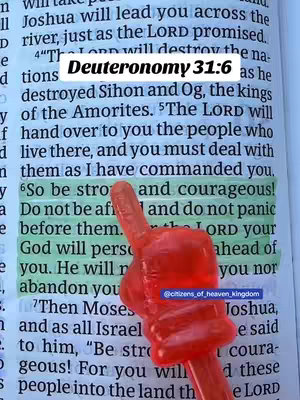 A close-up shot of a page from the Bible, with a verse highlighted and a small, red, finger-shaped object pointing at the highlighted text. The page is yellowed, suggesting age.