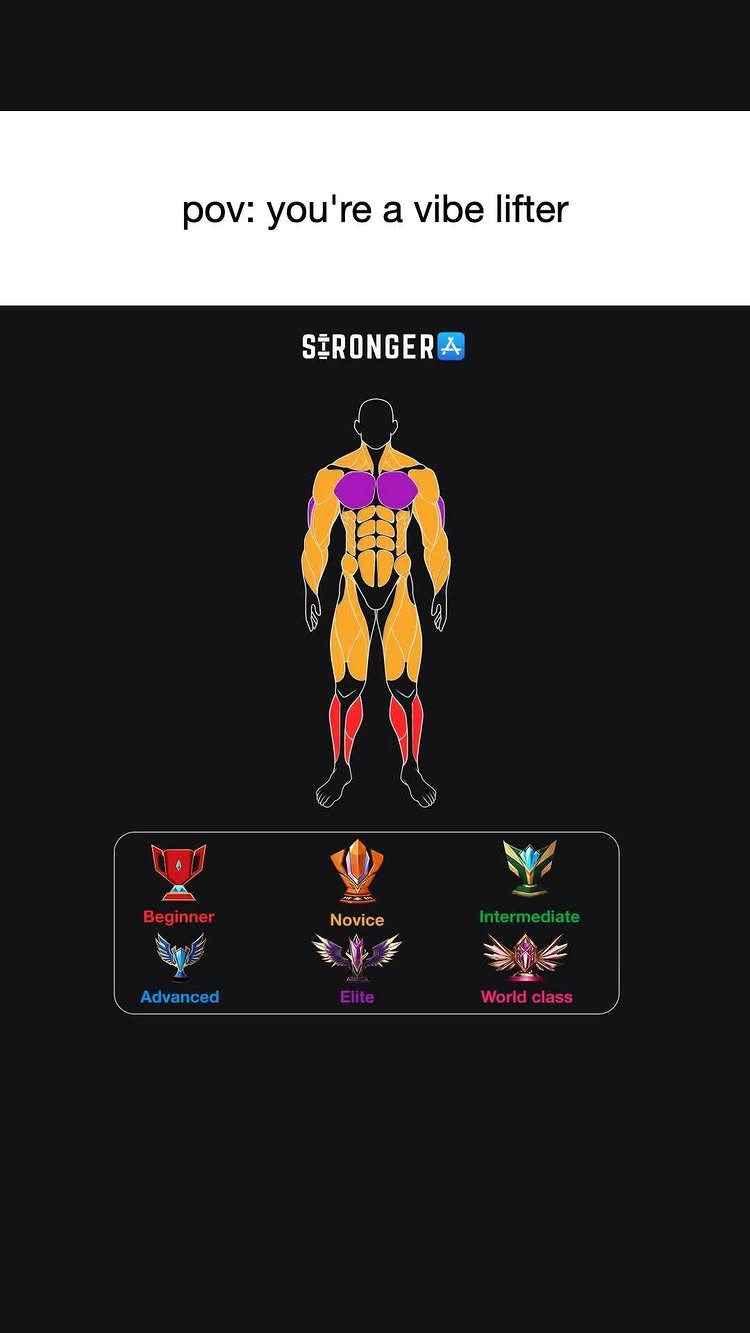 The cover image features a stylized graphic of a muscular human figure against a black background. The figure is outlined in white, with sections highlighted in various colors to indicate muscle groups that are targeted during workouts. Above the figure, the text "pov: you're a vibe lifter" is displayed. Below the figure, there is a row of icons representing different workout levels: Beginner, Novice, Intermediate, Advanced, Elite, and World Class, each accompanied by a corresponding icon.