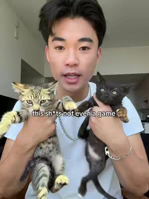 A well-lit selfie featuring a young Asian man holding two kittens, one tabby and one black. The man is in the foreground with the kittens held in his arms, and in front of him. The backdrop shows a room.