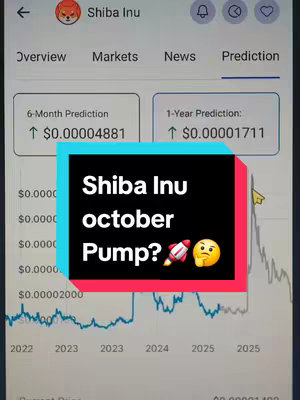 The cover image displays a screenshot of a financial chart discussing Shiba Inu, a cryptocurrency. A rectangular text overlay in the center asks 'Shiba Inu october Pump?' alongside a rocket and a questioning emoji.