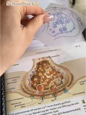 A hand holding a transparent sticky note over a page from a science textbook, which includes an anatomical illustration of a synapse. The sticky note has a sketched diagram, while the textbook page features detailed labels and a diagram of the biological structure, with a shallow depth of field focusing on the note and diagram. The lighting is soft and natural, making the colors clear, the composition suggests a study or learning context.