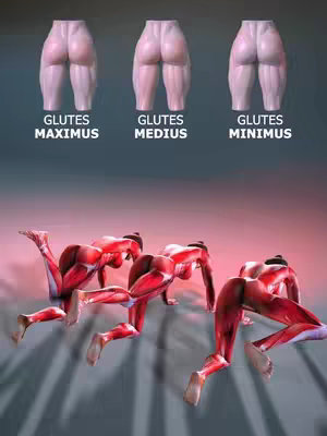 The image is a diagram or illustration of the gluteal muscles. In the upper portion, three pairs of glute muscles are represented from a rear view: gluteus maximus, medius, and minimus, each labeled below with white text. The lower section depicts three figures in a quadruped position, showcasing a rear view of gluteal muscles with vivid red muscle rendering. The figures are on a surface that transitions from a lighter, reflective foreground to a darker background giving it a dramatic look.