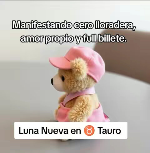 A close-up shot of a teddy bear wearing a pink cap and overalls-like outfit. The bear is centered on a neutral background with text overlays at the top and bottom.