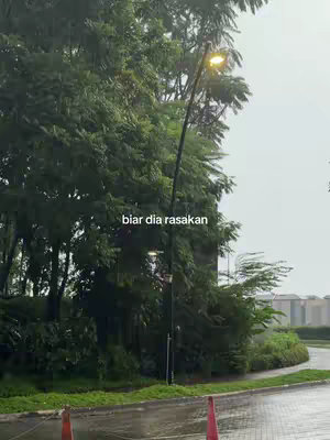 An outdoor shot captures a rainy scene featuring a tall, curved street lamp emitting a warm glow. Lush green trees frame the left side, with the wet asphalt and a road visible in the foreground. The sky is overcast, and the overall atmosphere is somewhat melancholic.