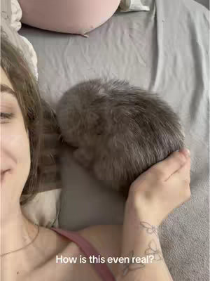 A selfie-style shot from the chest up, with a woman in the foreground on the left and a fluffy, gray cat resting on a bed in the top right. The woman's face is visible, and her skin tone is fair. She is wearing a pink tank top. The cat is gray and very fluffy and soft looking. The background is a bed with a gray comforter and a pink pillow. The hook 'How is this even real' overlays the bottom of the image.