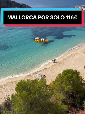 An aerial shot of a beach with clear turquoise water meeting a sandy shore. A strip of green trees lines the foreground, while the background fades into a distant mountain and sky. Text overlays read 'MALLORCA POR SOLO 116€' in a colorful box.