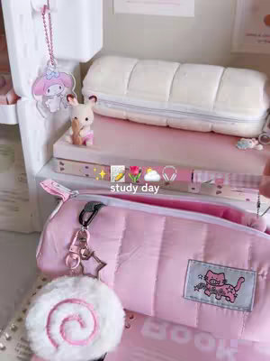 The cover image showcases a meticulously arranged study setup on what appears to be a desk or shelf. The scene is bathed in soft, pink tones, creating a cohesive and aesthetically pleasing composition. Various study accessories are prominently featured: a light pink pencil case with a decorative patch, a white pillow, and a My Melody keychain. The overall aesthetic is clean and organized, suggesting a focus on productivity and a visually calming workspace.