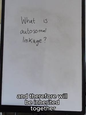 A white whiteboard with black marker text. The question 'What is autosomal linkage?' is written in the top portion. In the bottom section, the text 'and therefore will be inherited together' is written below.
