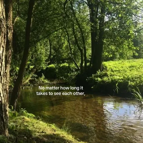 A serene natural scene featuring a flowing stream surrounded by lush green trees and foliage. The water is clear, reflecting the sunlight, and a text overlay adds a romantic message to the image.