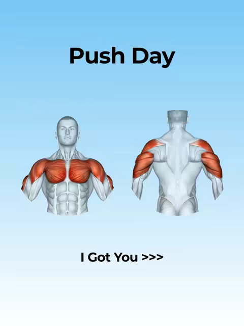A cover image featuring a light blue gradient background. At the top, large black text reads "Push Day". Below, there are two human figures, rendered in a simplified 3D style, depicting the front and back views of a torso with muscles highlighted in red. At the bottom, white text says "I Got You >>>".