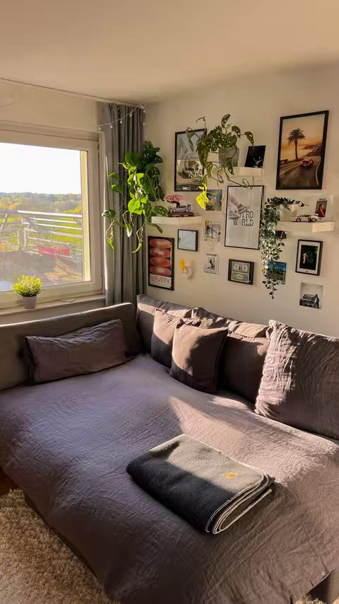 A sunlit bedroom corner featuring a large gray sectional sofa, a window with a view, and wall decorations including pictures and plants. The room has a cozy feel, with soft lighting and neutral color tones, creating a relaxing ambiance. A folded blanket rests on the sofa.
