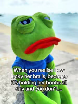 A close-up shot of a green plush frog with sad eyes and a large red mouth. The frog wears a blue shirt and sits against a blurred background of a beach scene.  White text overlaid on the image states, "When you realise how lucky her bra is, because it's holding her boobs all day and you don't...."
