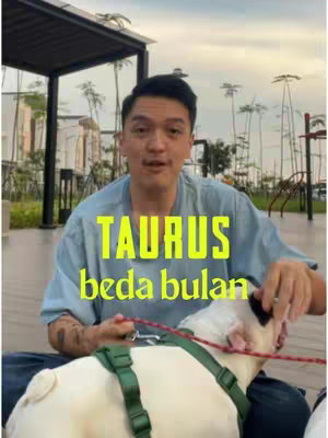 A man in a light blue shirt is sitting on the ground holding a white dog with a green harness. The man is looking directly at the camera and there is text overlayed on the image that reads 'TAURUS beda bulan'. The background shows a park setting with trees and buildings.