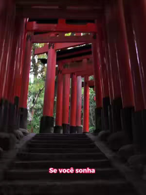 The cover image shows a perspective view of a series of traditional red torii gates, common in Japanese shrines. The gates are closely spaced, creating a path running through them. The image is taken from a low angle, looking up the stairs. At the bottom is the hook text, written in a pink color.