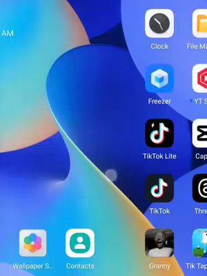The cover image shows a phone's home screen. Several app icons are visible, including the clock, TikTok, and contacts. The background is a blue, abstract design.