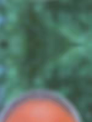A blurred image. The background is a blend of green hues, suggesting foliage. At the bottom, a curved shape of orange or red with a white border appears, also slightly out of focus.
