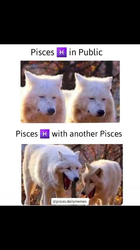 A meme featuring two images of white wolves mirroring human expressions associated with a Pisces personality. The top image shows two wolves with closed eyes, while the bottom image depicts two wolves with open mouths. Text overlays indicate the situations: 'Pisces in Public' and 'Pisces with another Pisces'.