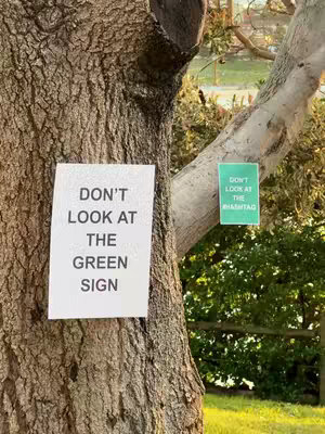 Close-up shot of a tree trunk in natural lighting. Two signs are affixed to the tree: one in white with black text reading, 'DON'T LOOK AT THE GREEN SIGN,' and a smaller green sign with white text noting '#DONTLOOKATTHEHASHTAG'. The composition is simple, with the tree and signs as the central focus, set against a blurred green background.
