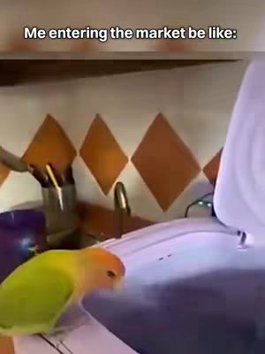 A parrot is shown in a kitchen-like setting near a sink with a white covering and a countertop with a colorful tile background. The text 'Me entering the market be like:' is across the top in a white font.