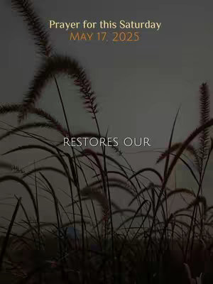 The image features long grass in the foreground with a blurred background. Overlayed text includes a date and a prayer intention.