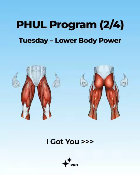 The cover is a vertical graphic with a light blue gradient background. At the top, in bold white text, it reads "PHUL Program (2/4)", followed by "Tuesday - Lower Body Power" in a smaller, white font. The main visual features two stylized anatomical diagrams of legs, depicting the muscles. Below the legs is the text "I Got You >>>" in bold black font. In the bottom right corner is the "PRO" logo in white text.