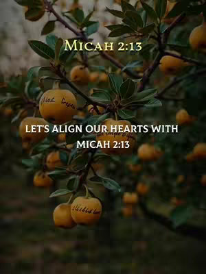 An image featuring branches of a tree laden with yellow fruit, possibly apples, set against a blurred, green background. The text 'Micah 2:13' is displayed in gold at the top. The text is repeated with a surrounding phrase. The overall composition has a semi-gloss appearance, suitable for a religious post.