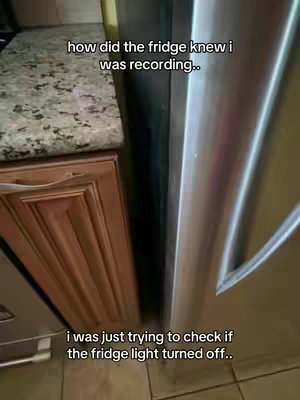An overhead shot within a kitchen, presenting a partial view of cabinetry and adjacent surfaces. A stainless steel refrigerator stands prominently on the right side, beside a countertop with a speckled granite pattern. The lower portion of warm-toned wooden cabinets contrasts the cool metallic fridge, hinting at a domestic setting with textural variety. Overlay text conveys a humorous or intriguing concept.