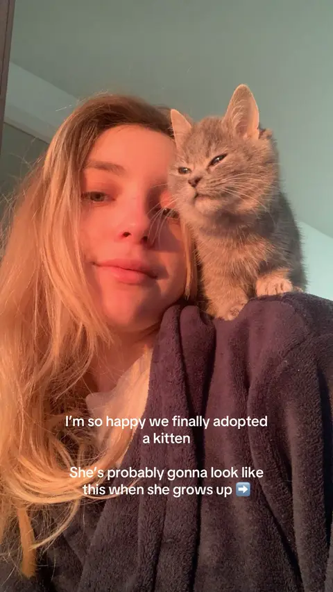A young woman with blonde hair holds a small gray kitten on her shoulder, both looking towards the camera. Text overlays on the bottom half of the image.