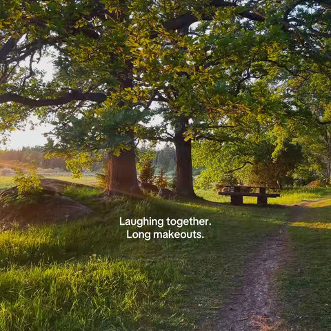 A natural outdoor scene dominated by lush greenery and sunlight. Two large, mature trees with spreading branches stand prominently, framing a pathway that leads toward a stone picnic table bathed in light. The image is bathed in warm sunlight, creating an inviting and serene atmosphere, indicating a moment of peace or a romantic theme.