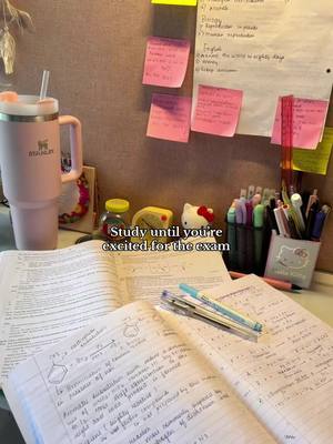 The image showcases a workspace with study materials. A large pink insulated tumbler with a straw sits on the left. In the foreground, open notebooks filled with handwritten notes and equations rest. To the right, a pen holder, and a Hello Kitty figure stand, with sticky notes on the wall. The background is a wooden surface with additional notes on a whiteboard. The image has a warm, inviting light.