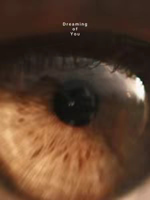 Close-up shot of a human eye, with the iris and pupil in sharp focus. The eye is brown, and the lighting gives it a warm, reflective quality. The text 'Dreaming of You' is positioned above the eye.